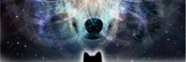 wolfie46290's profile banner image