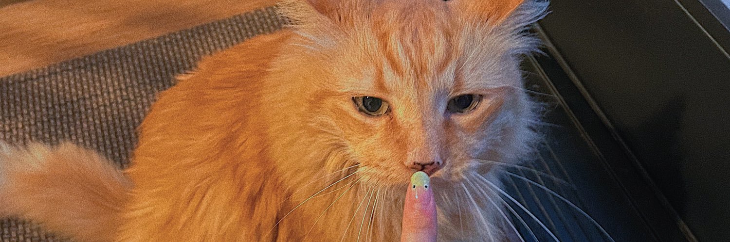 envyIau's profile banner image