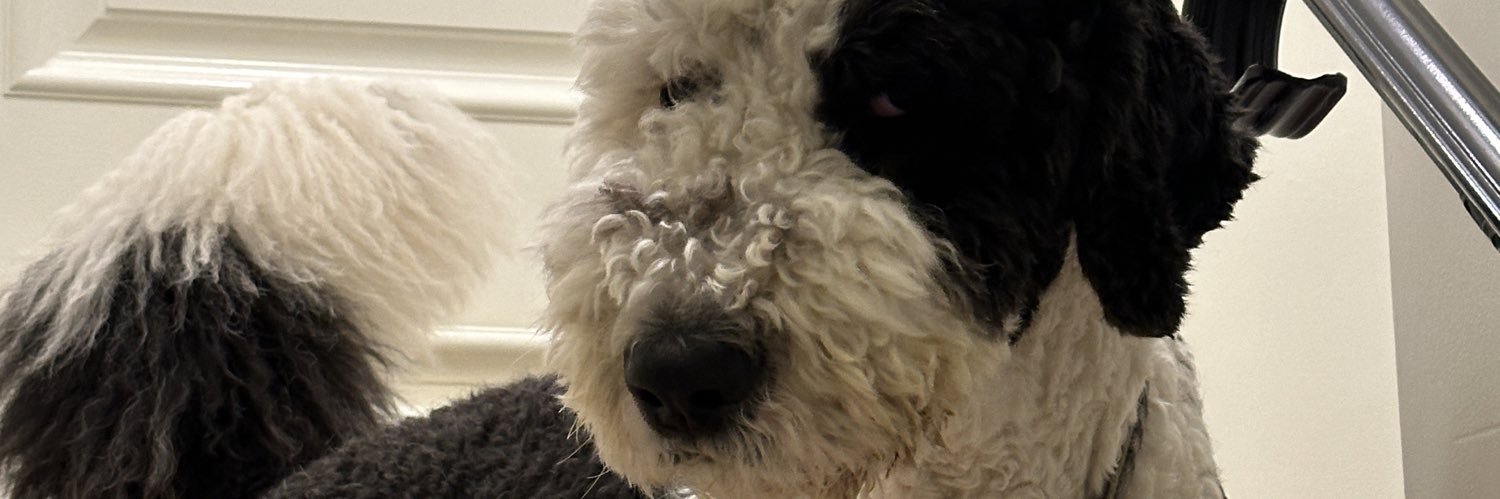 Will Fabricant banner