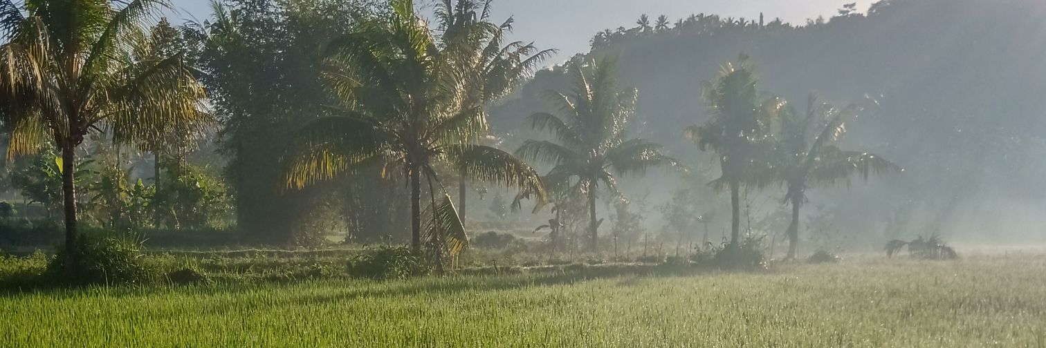 danangmoro's profile banner image