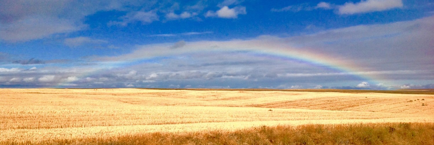 earlranch's profile banner image