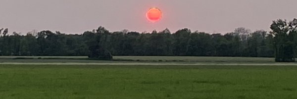 MoneyntheGarage Profile Banner