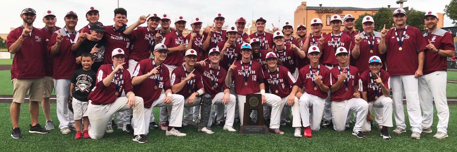 Tigers Baseball banner