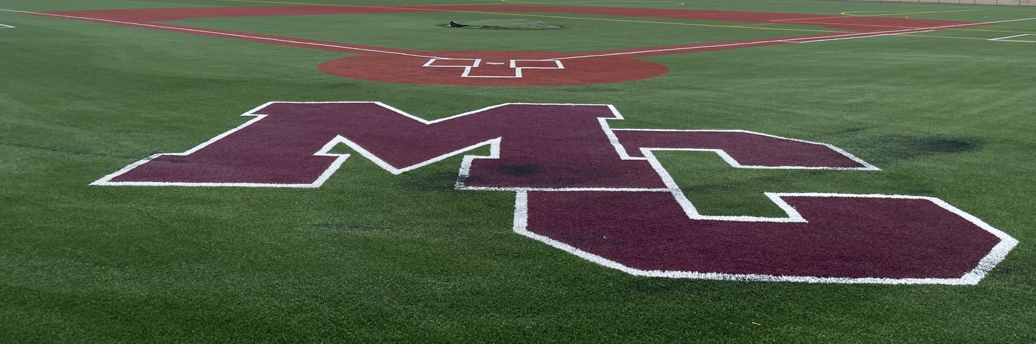 Baron Baseball banner