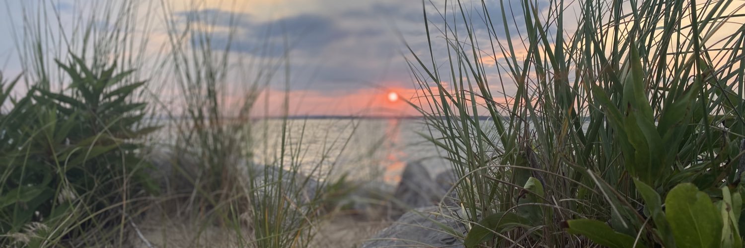 ShanonDahlstrom's profile banner image