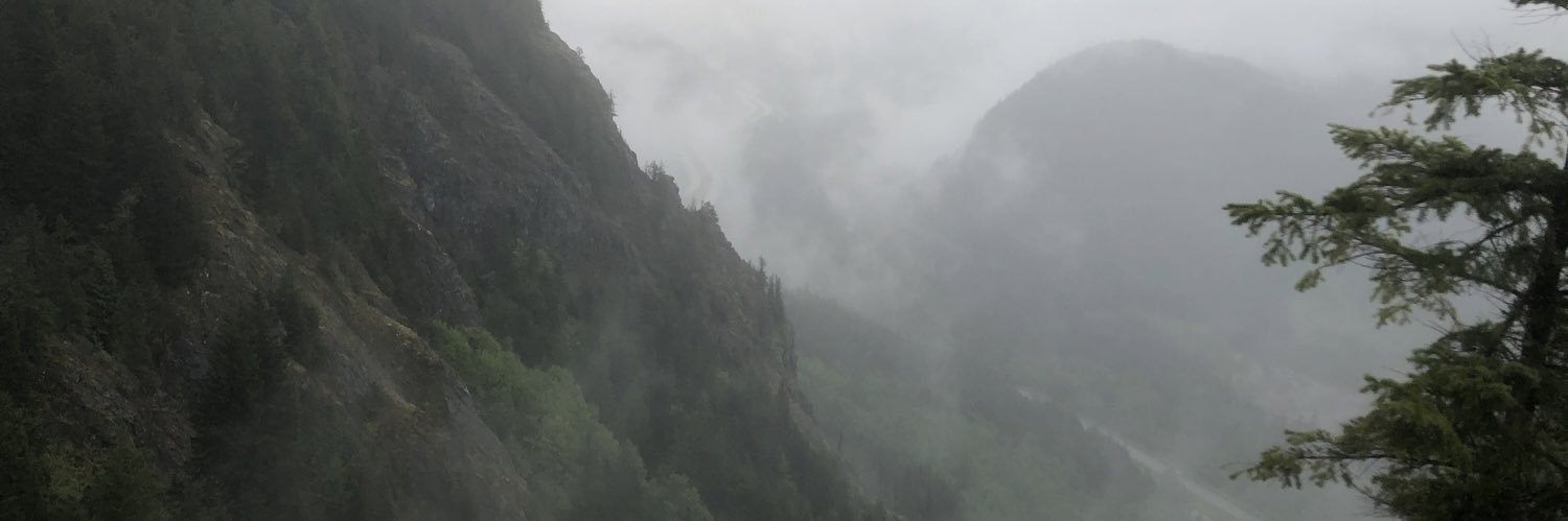 yadipaxton's profile banner image