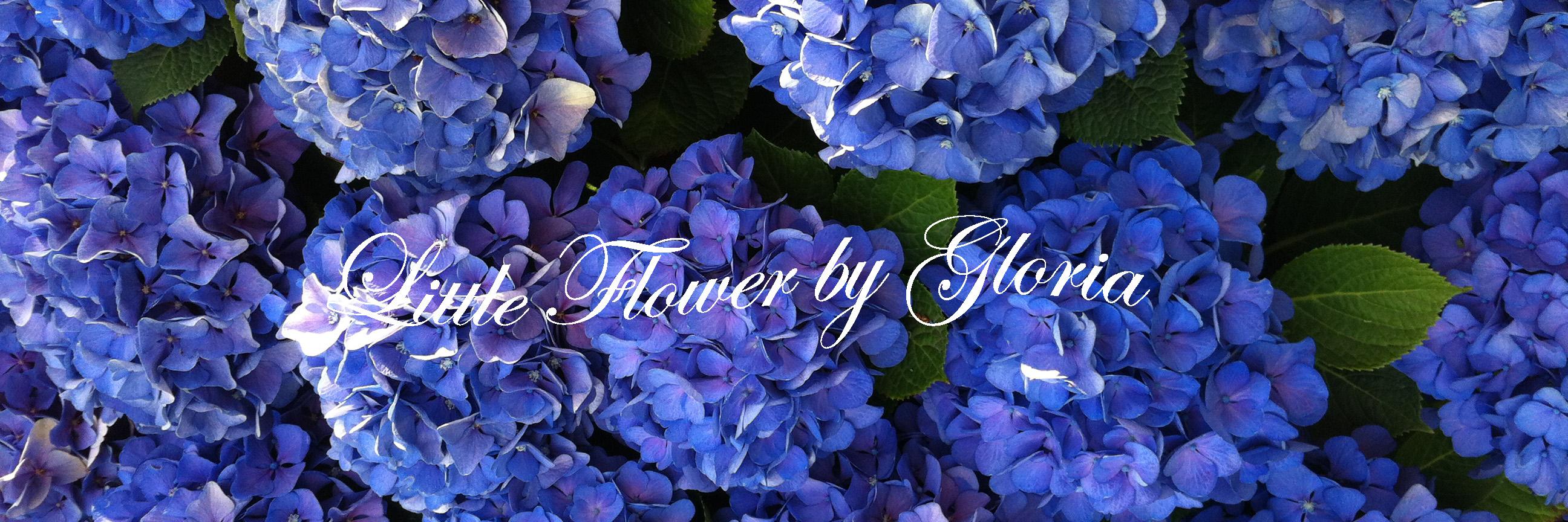 LittleflowerbyG's profile banner image