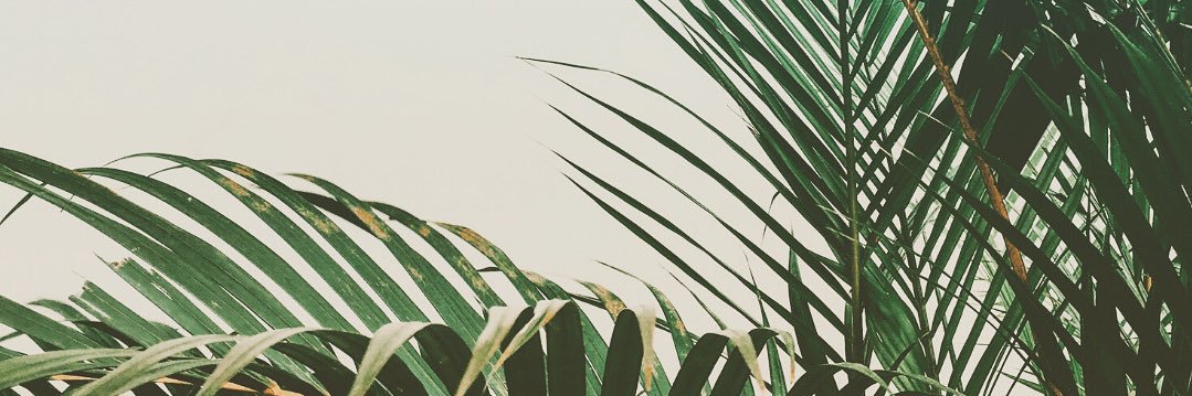 breezybree014's profile banner image