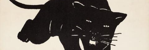 Samrp6511's profile banner image