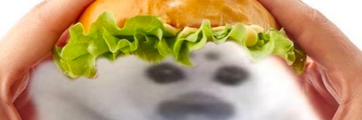 CreatorSirNoms's profile banner image