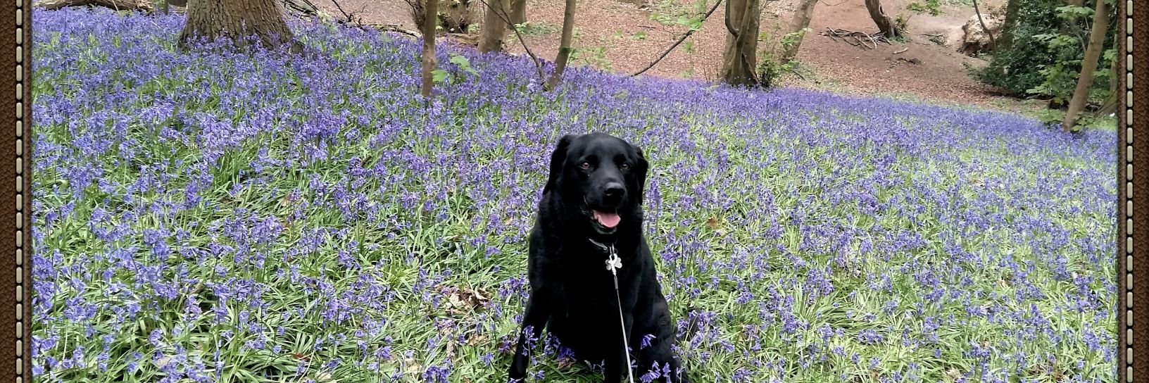cockinnpolstead's profile banner image