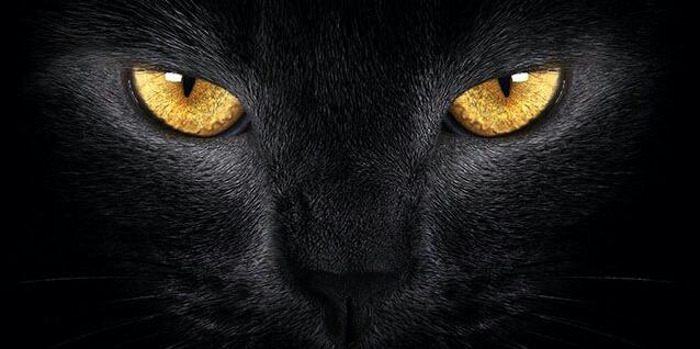 dudud8899's profile banner image