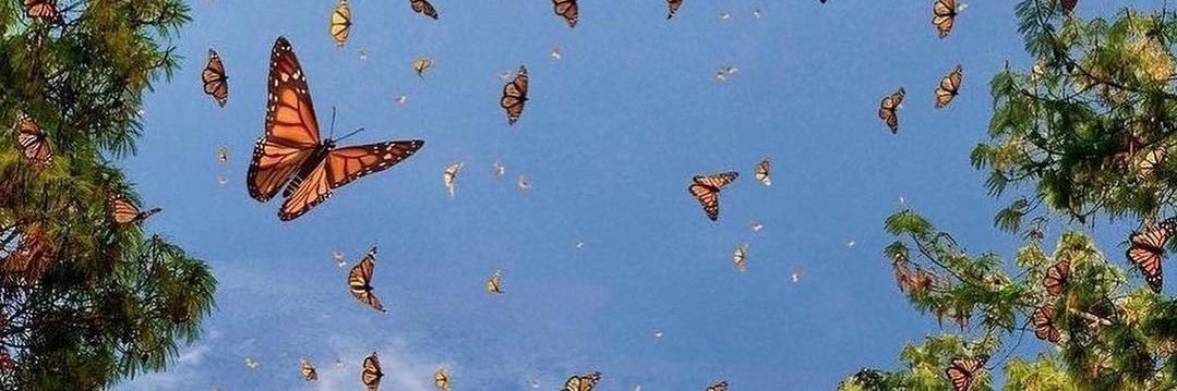 weedonn_'s profile banner image