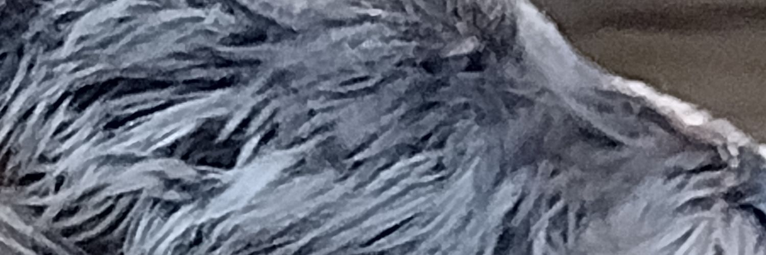 LAFCEE's profile banner image