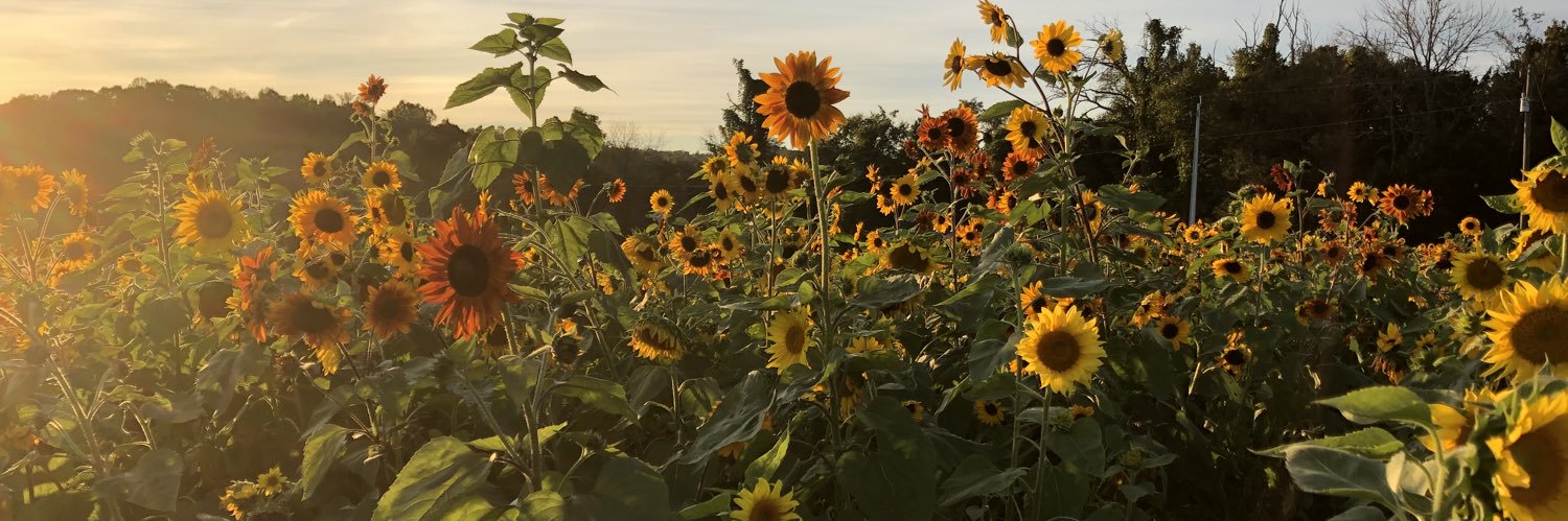 SarahLayne16's profile banner image