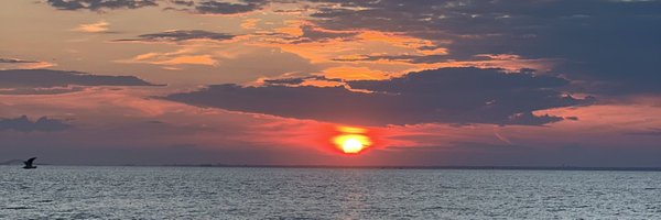 stylewithden Profile Banner