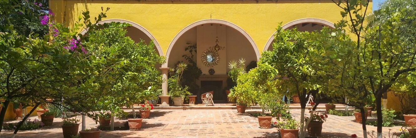 tequilaTRIANA's profile banner image