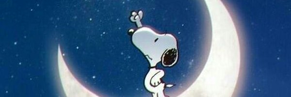 CarlosPeci Profile Banner