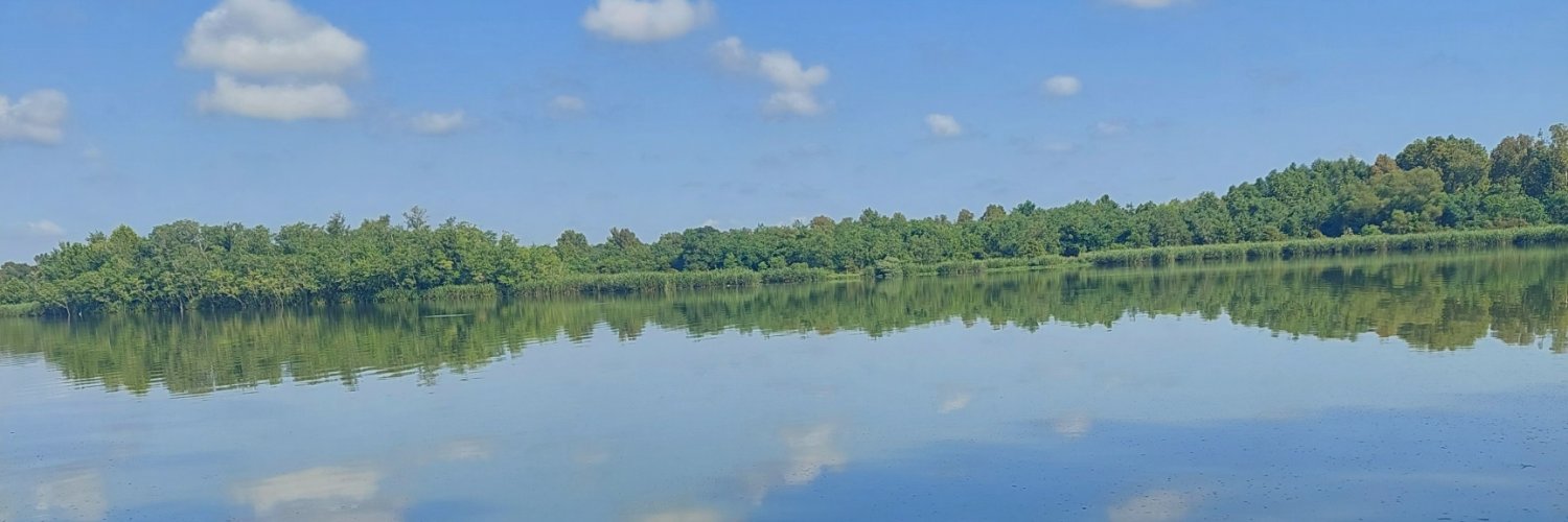 DewandaRunnels's profile banner image