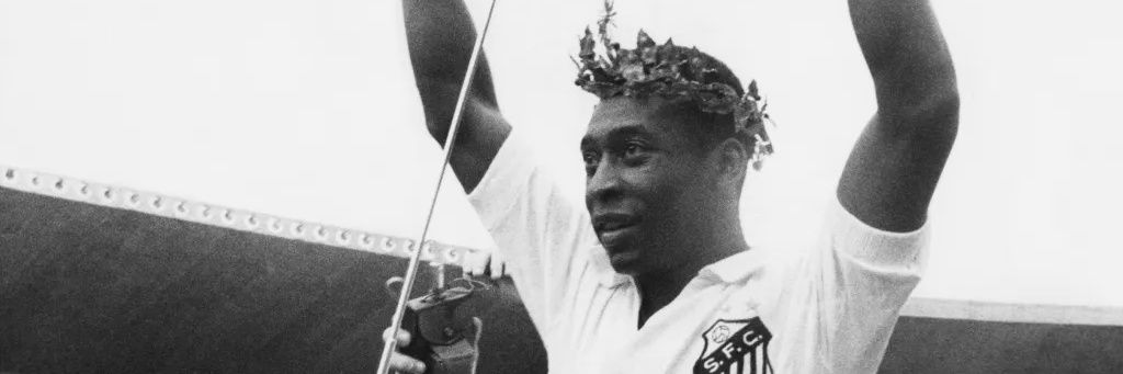 pedro duvidas ˢᶠᶜ (13/45) banner