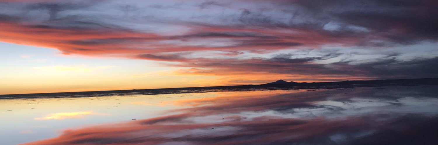 renata_lpb's profile banner image