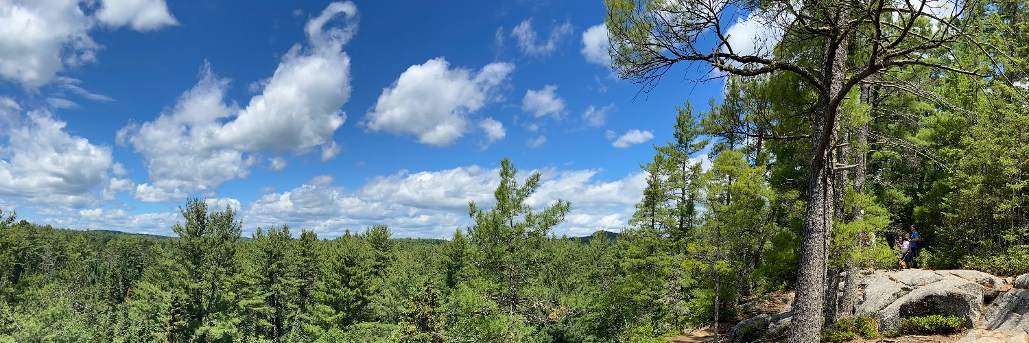 Sina Zargaran banner