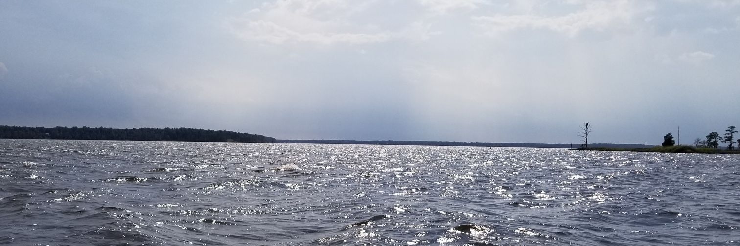 luzpi23's profile banner image