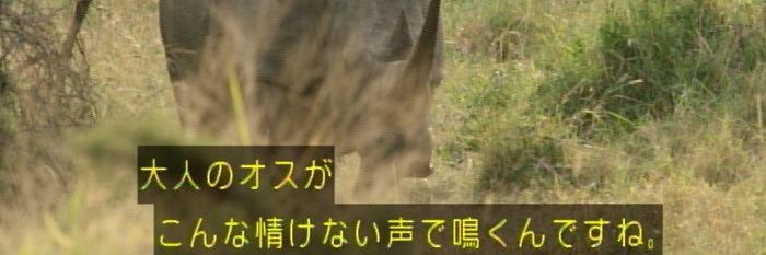 SBT banner