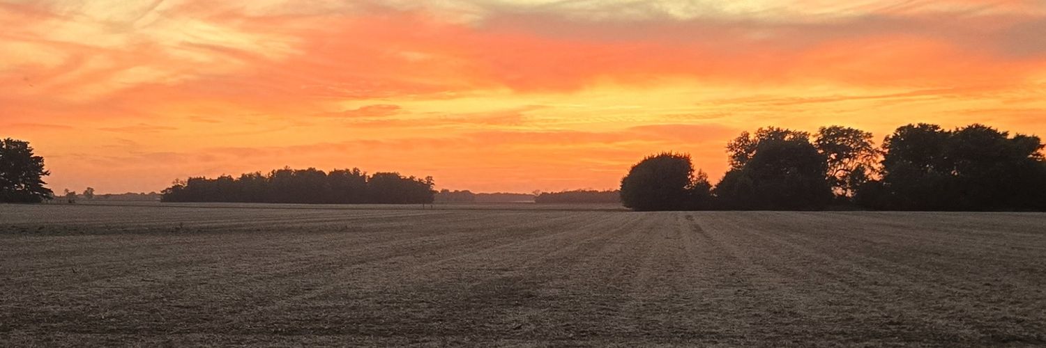 RRamberger's profile banner image