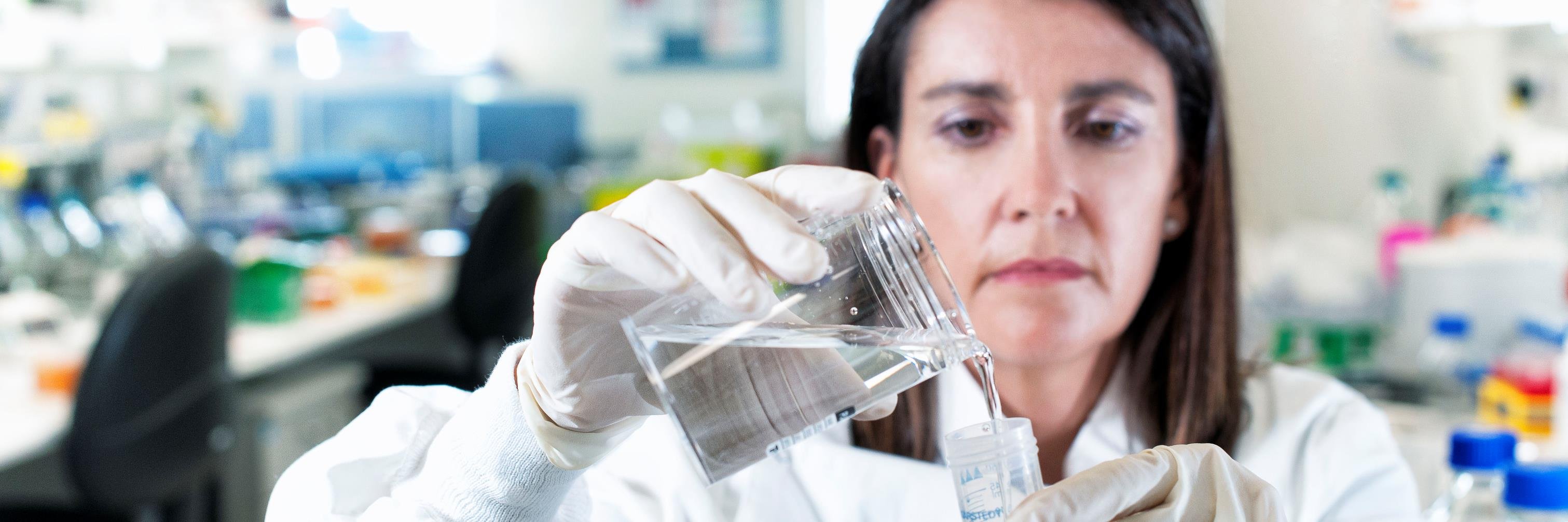 Gallipoli Medical Research Foundation banner