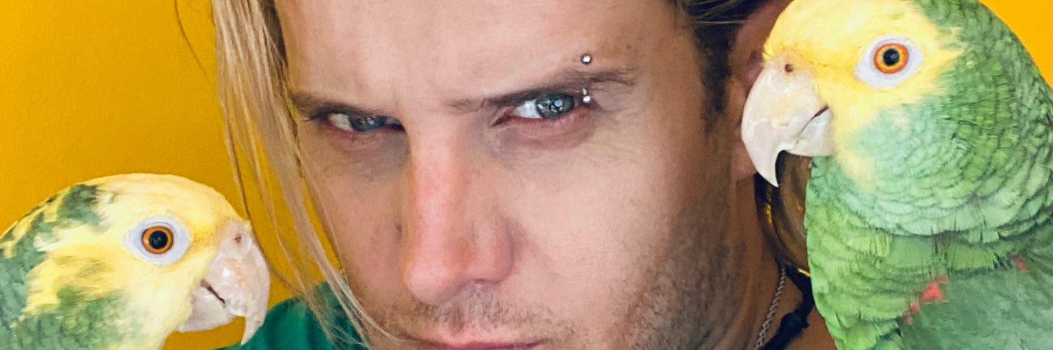 castellioficial's profile banner image