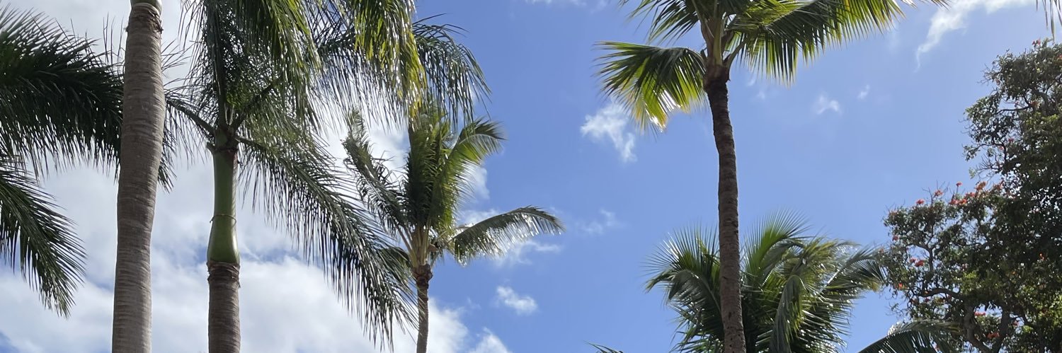 Heather Hale Nguyen banner