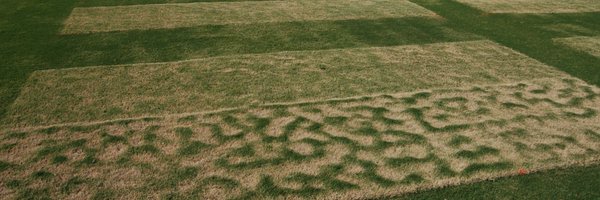 ArkansasTurf Profile Banner