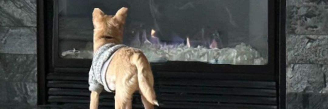 mattg5277's profile banner image