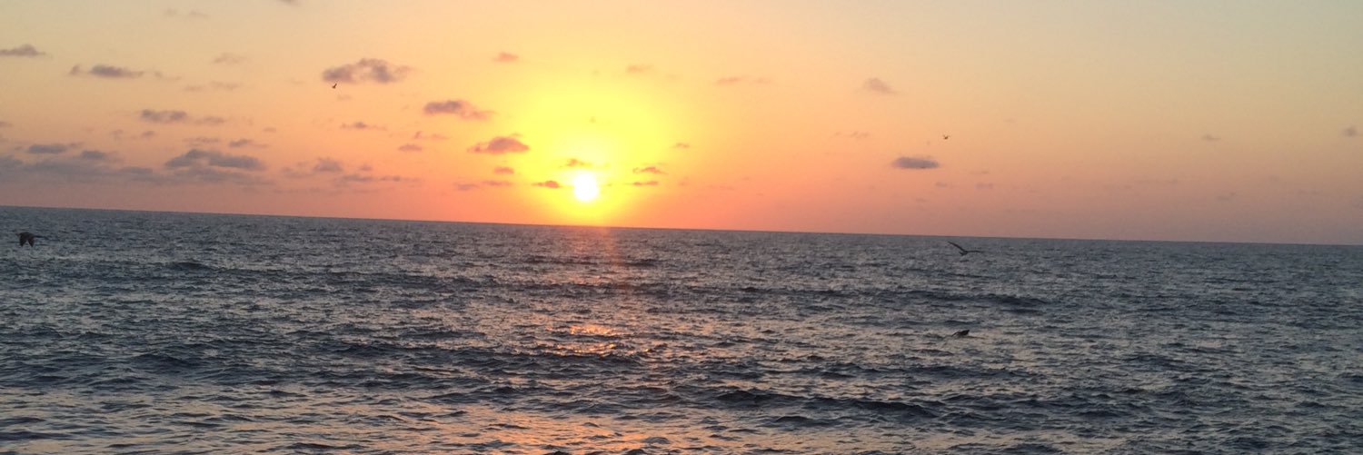 moonica1012's profile banner image