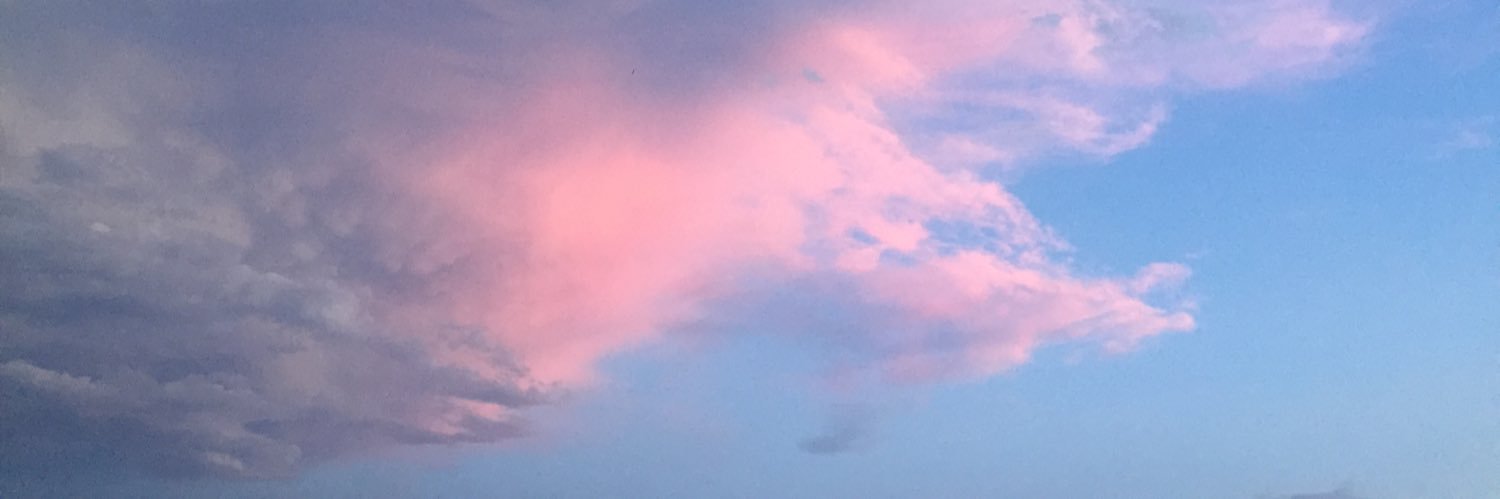 tam_iamb's profile banner image