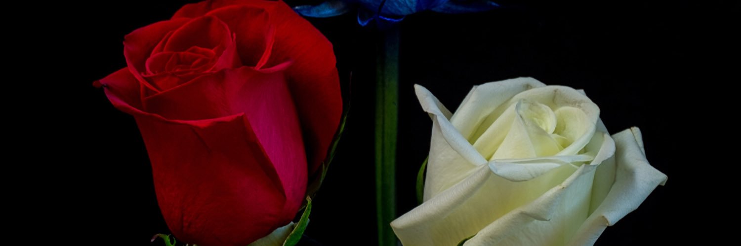asyanastja's profile banner image