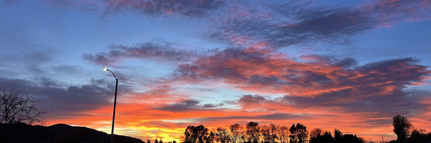 ʕ•ᴥ•ʔ banner