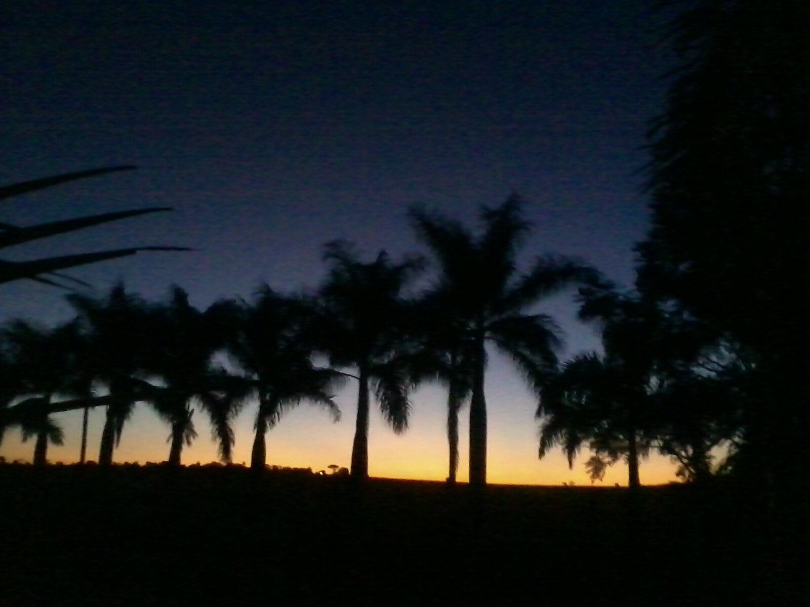 _lelagomes's profile banner image