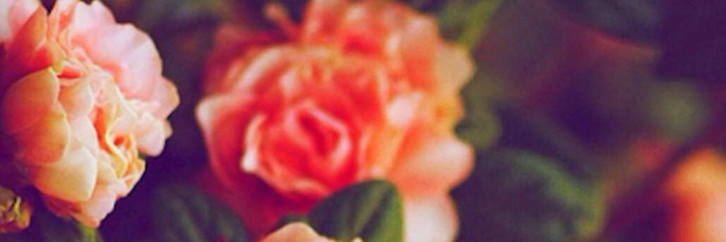 VillaniFlora's profile banner image