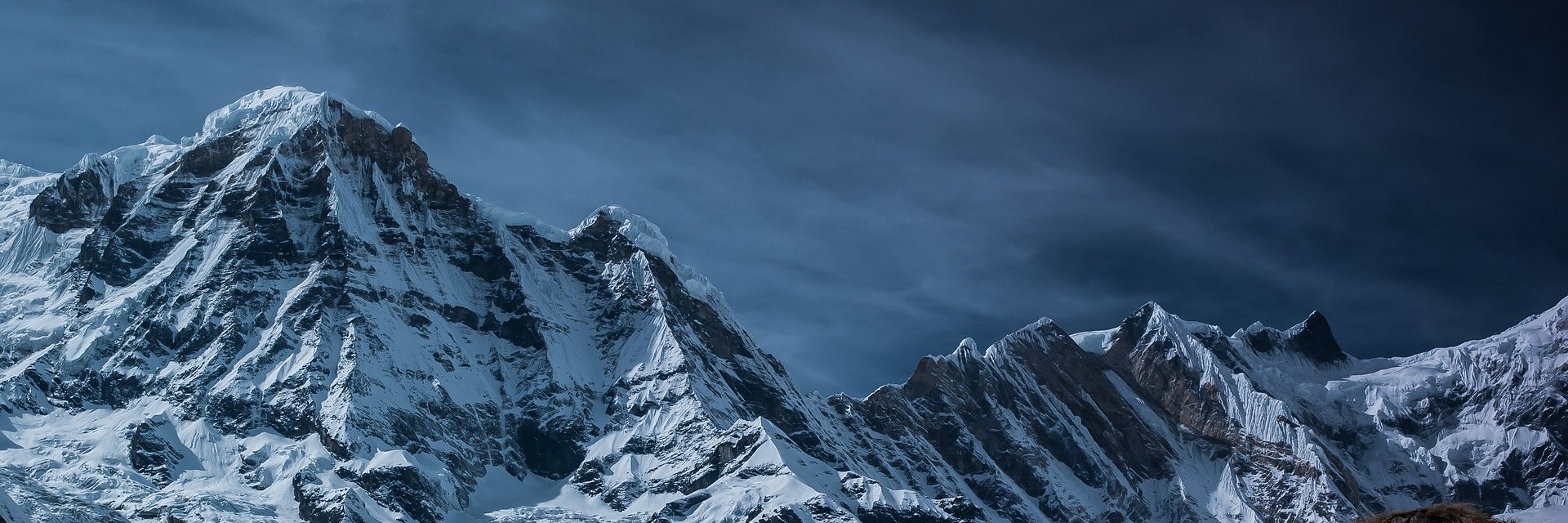 successethicskr's profile banner image
