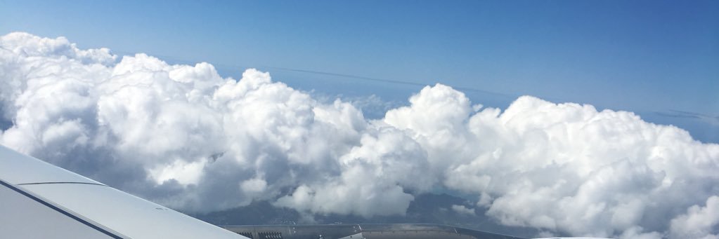WildeyWildey's profile banner image