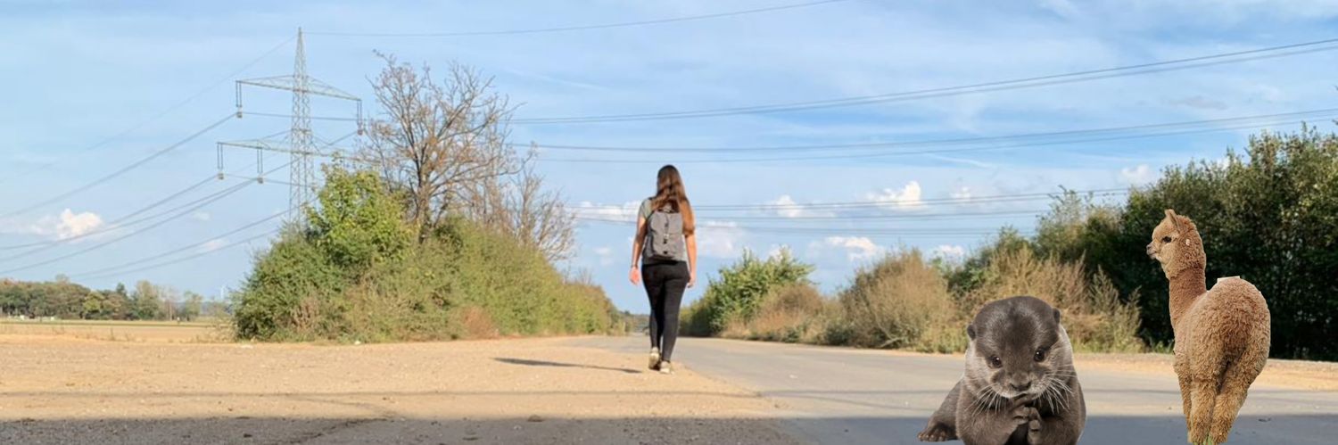 LuisaTrue's profile banner image