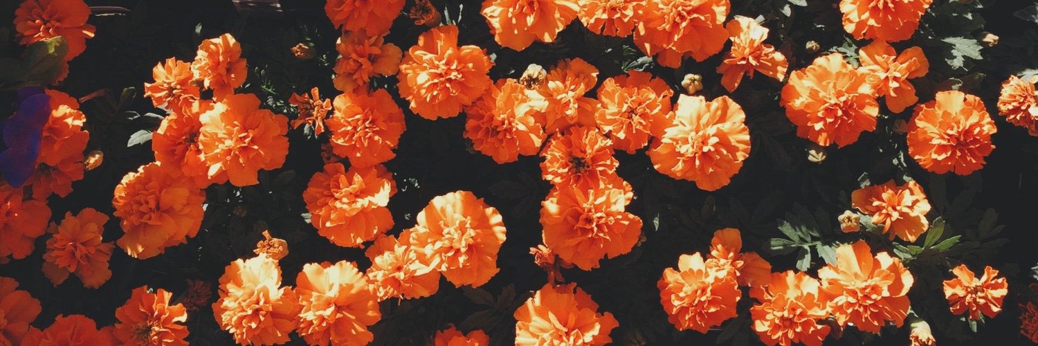 KEN_it_be's profile banner image