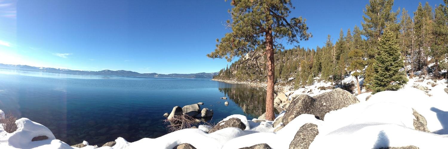 Alexandra Gurevich banner