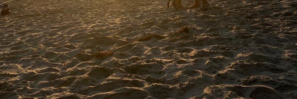 chillandhops's profile banner image