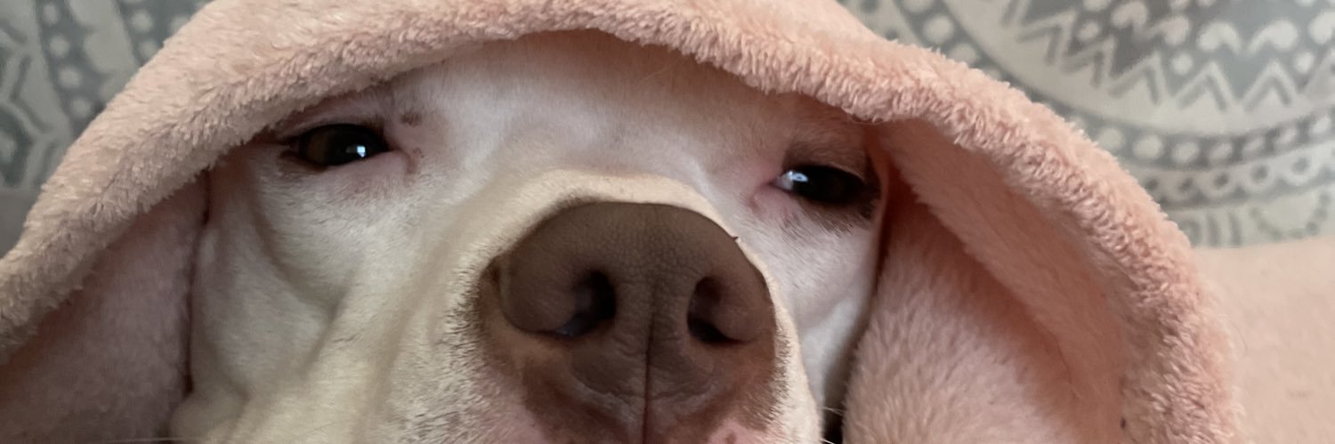 kennshae98's profile banner image
