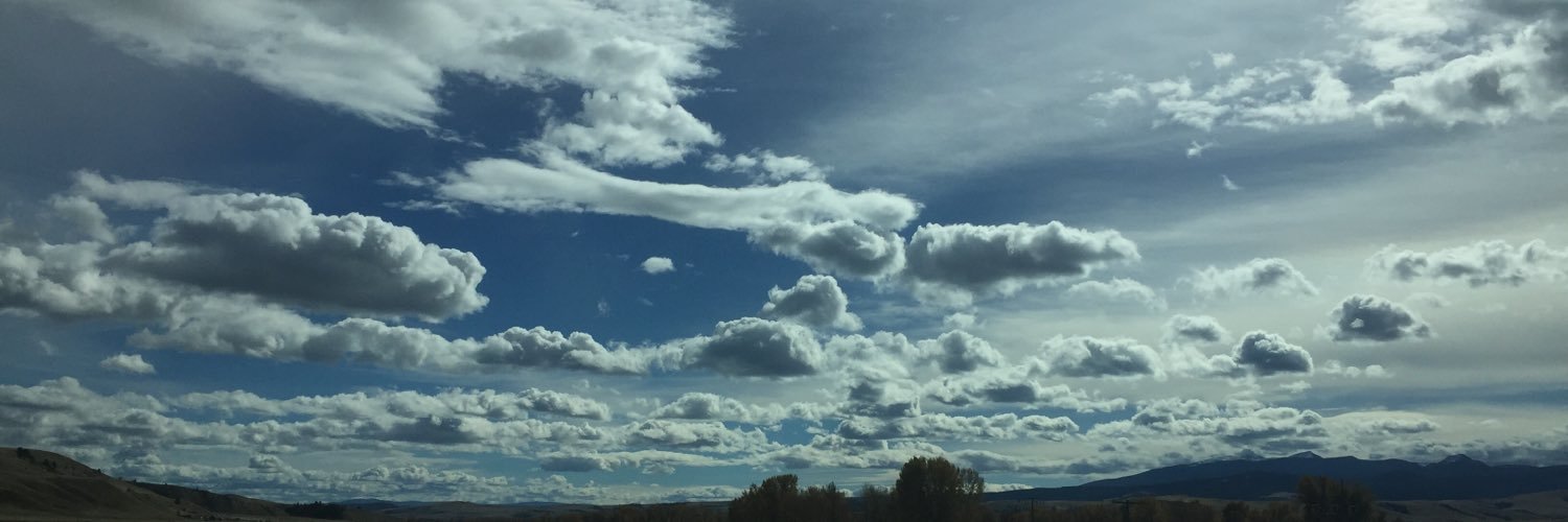 saagemoraa's profile banner image