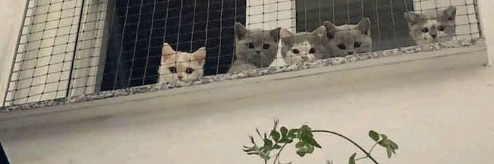 _nda_1's profile banner image