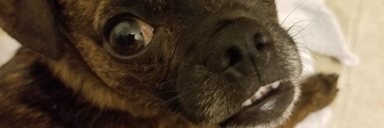 dalton_dillard's profile banner image